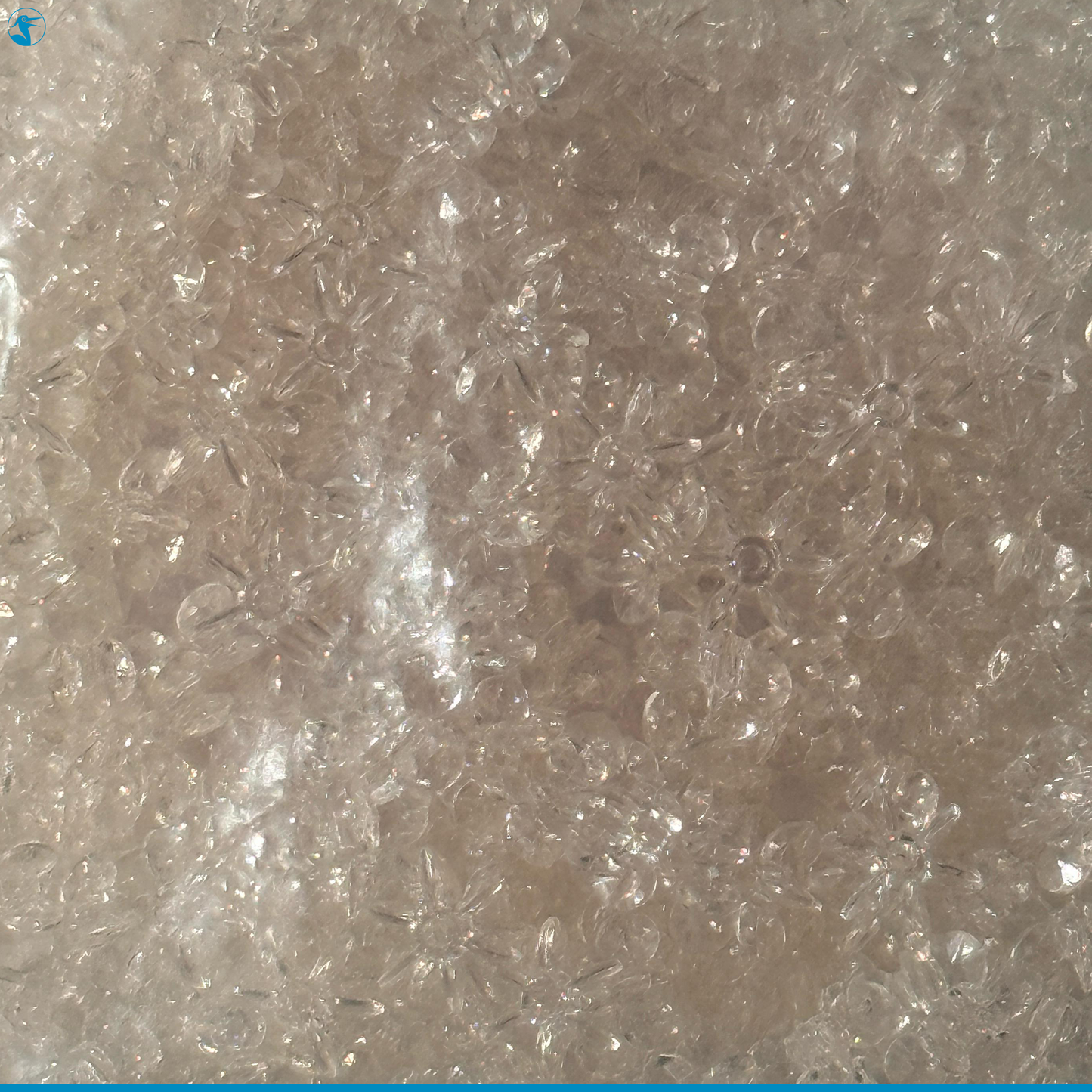 Panhandle Salt Disco Beads Starfish Pack 6mm