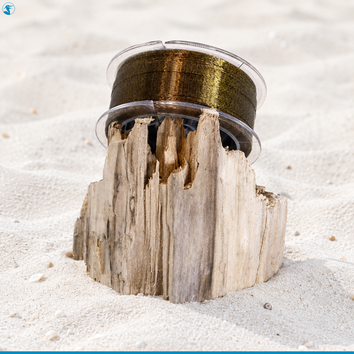 Panhandle Salt Leader Line Perdido Leader Wet Sand